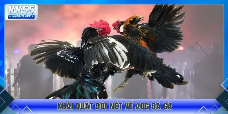 Khái quát đôi nét về AOG đá gà